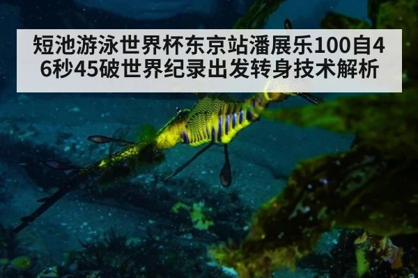短池游泳世界杯东京站潘展乐100自46秒45破世界纪录出发转身技术解析
